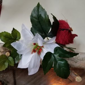 Meet your Posher, Gail